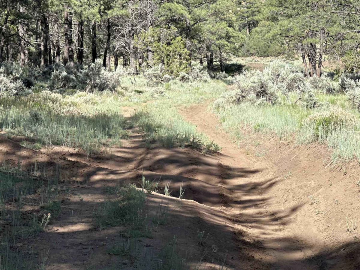 Gas Buggy Spur photo 4
