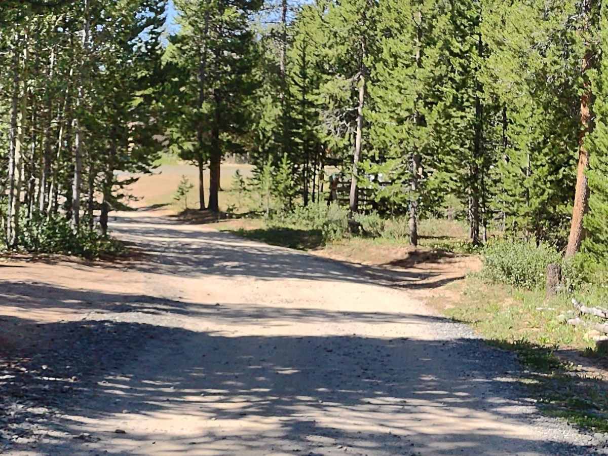 Beaver Creek 4WD (FS 366) trail photo