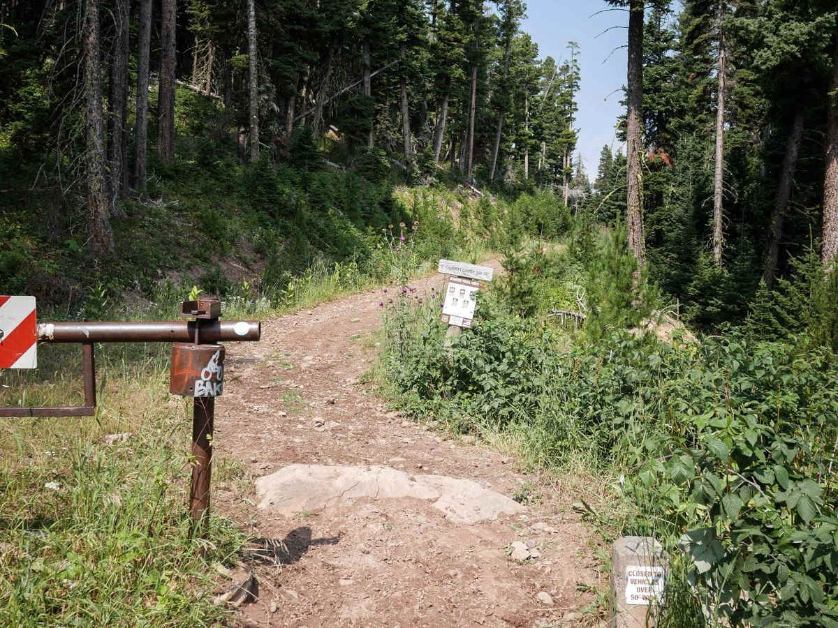 Carrol Creek photo 5