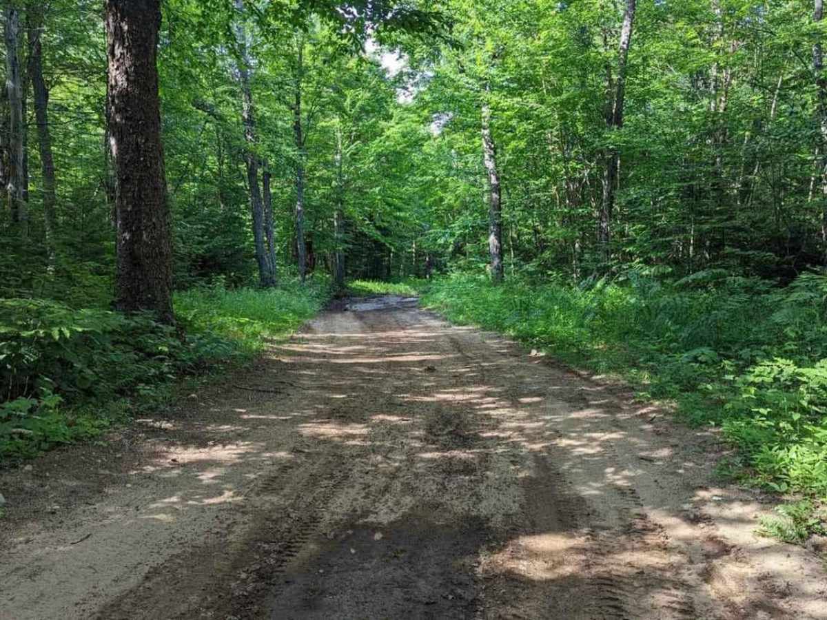 Old Forge Backcountry 1 trail photo