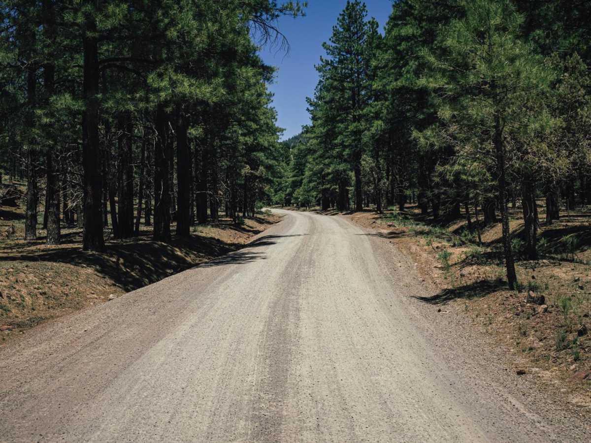 Frenchy Springs Road photo 6