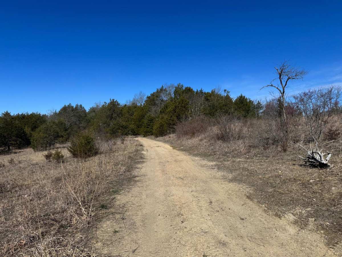 Brushy Ridge Spur D - FRS 606D photo 4