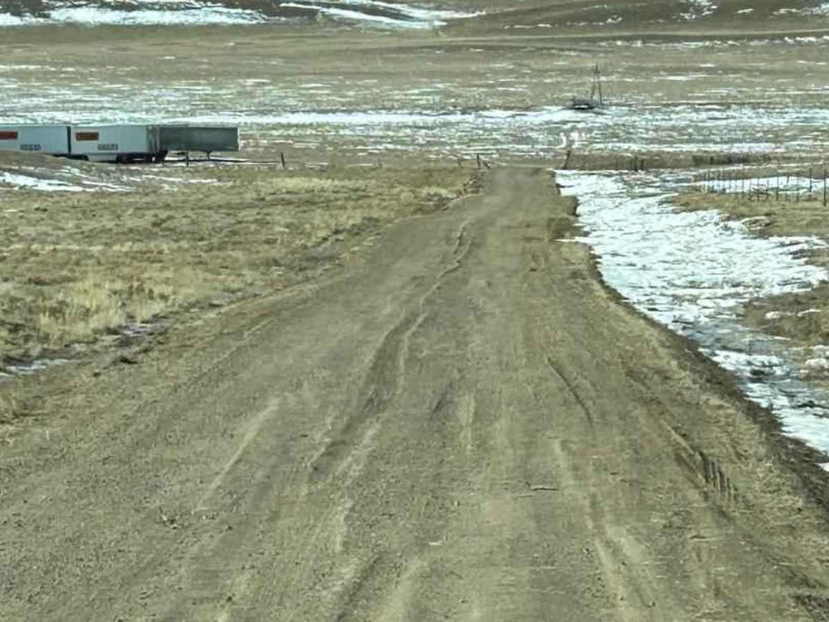 Meadow Drive/ James Mark Jones Wildlife Area photo 5