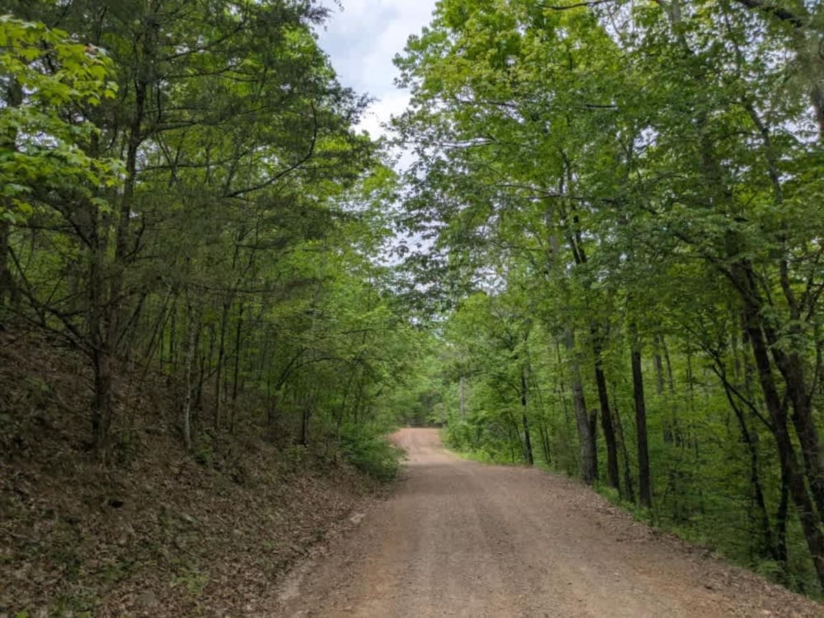 Carter Mountain photo 3