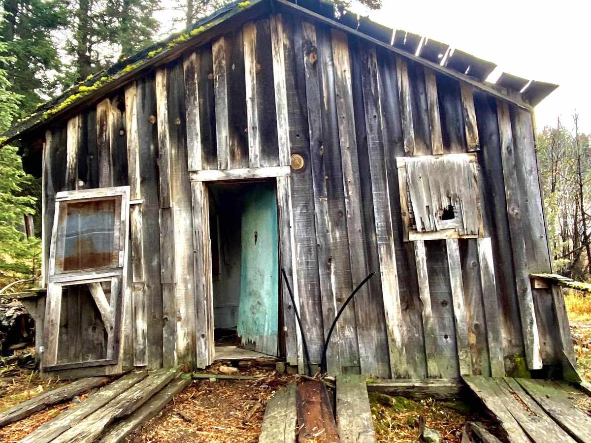 Mining Trail trail photo