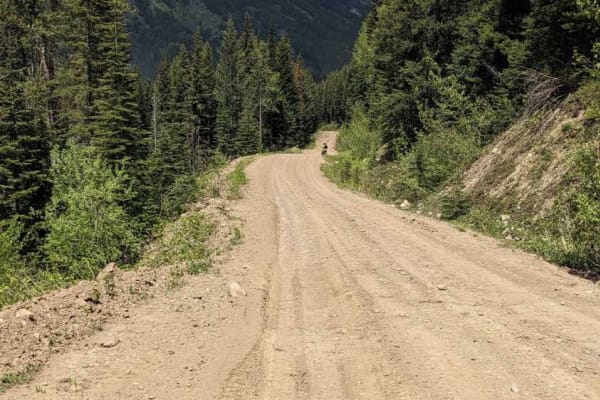 Alexander Creek Forestry Road