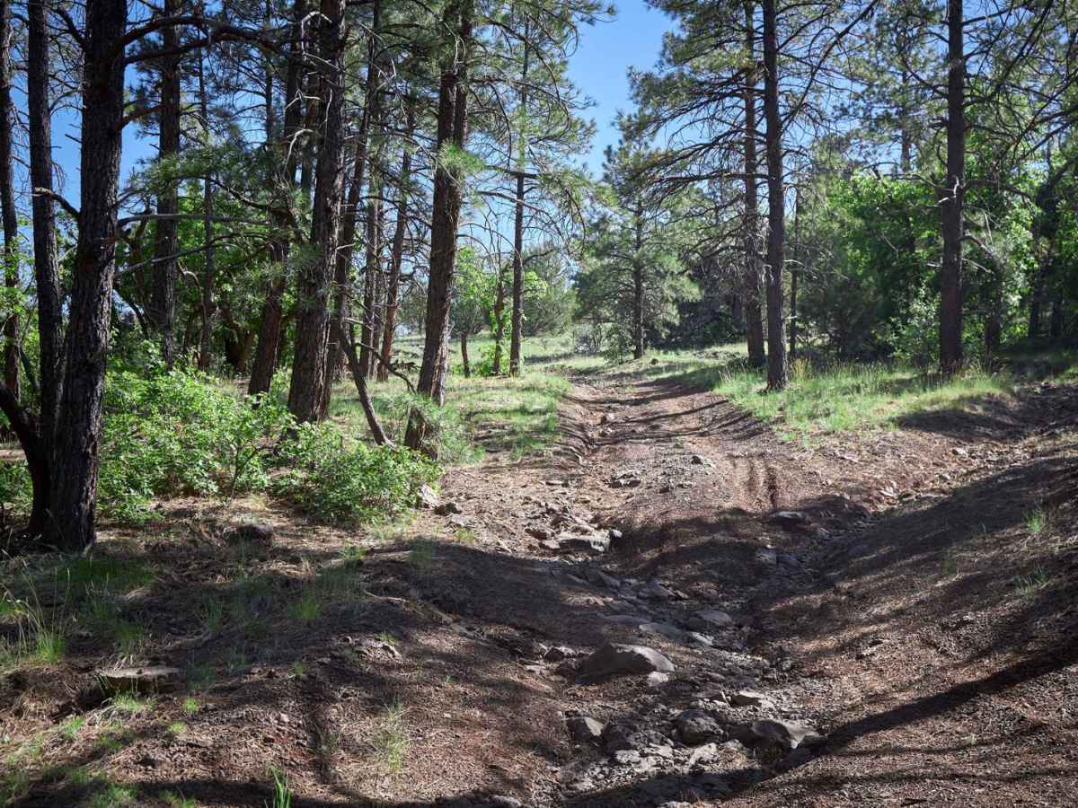 Bill Williams / Prescott Forest Traverse photo 5