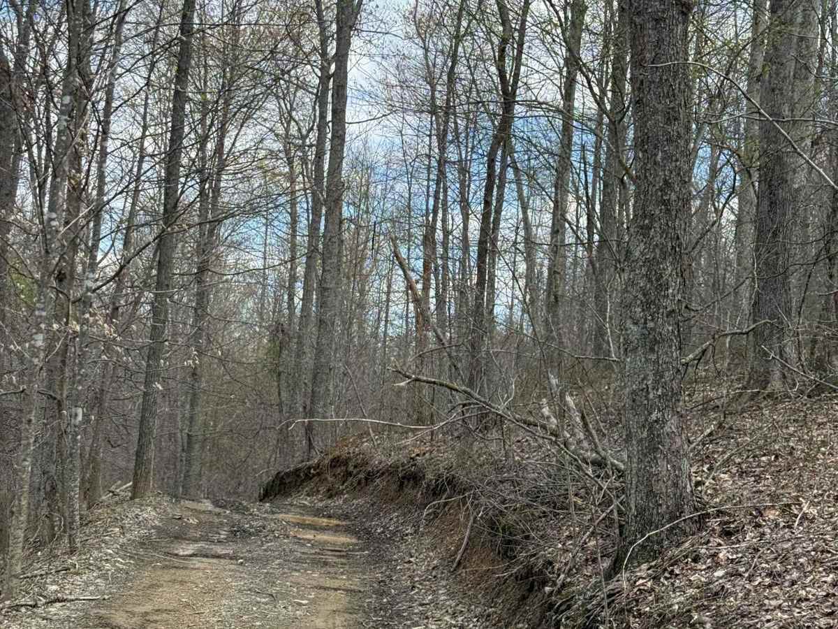 Trail 16 photo 5