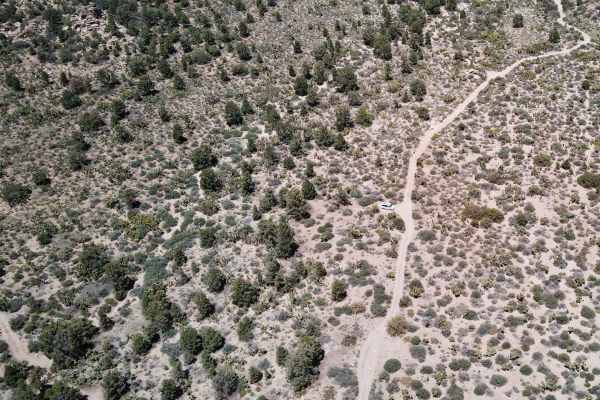Cactus Flat - 3N62