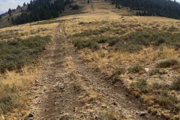 Ramsey Mountain Road