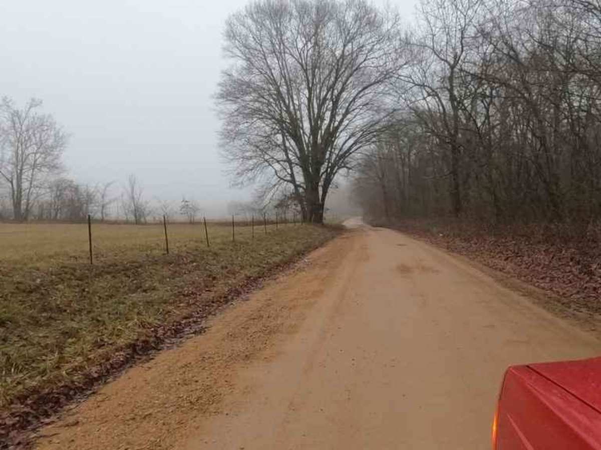 James Creek Road photo 6