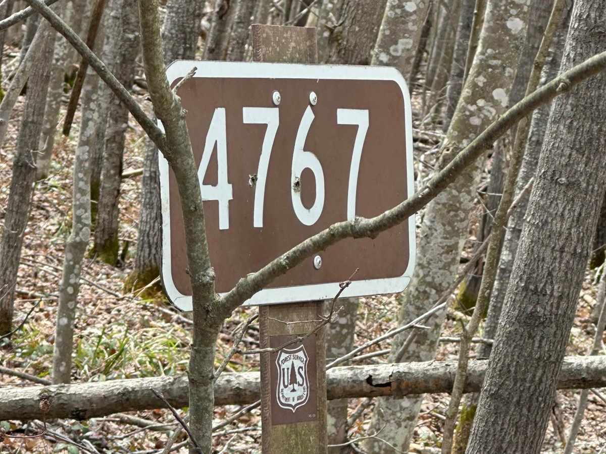 FS 4767 trail photo
