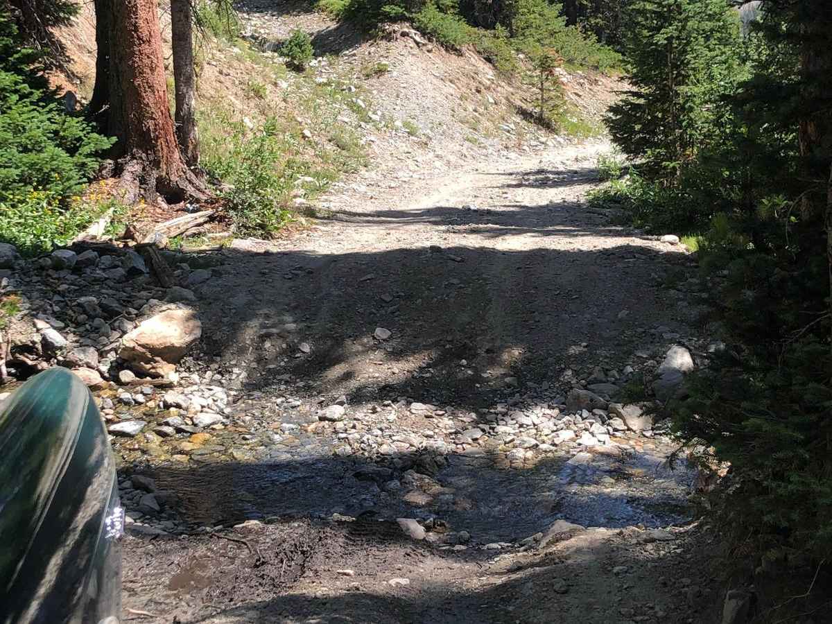 Grassy Gulch Road FS 349 photo 3