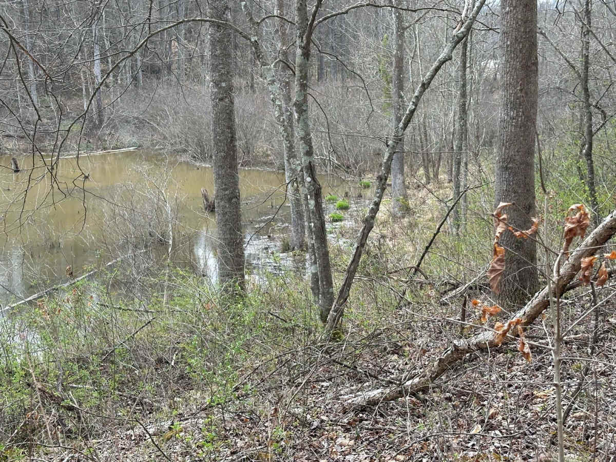 Rich Creek Connection photo 3