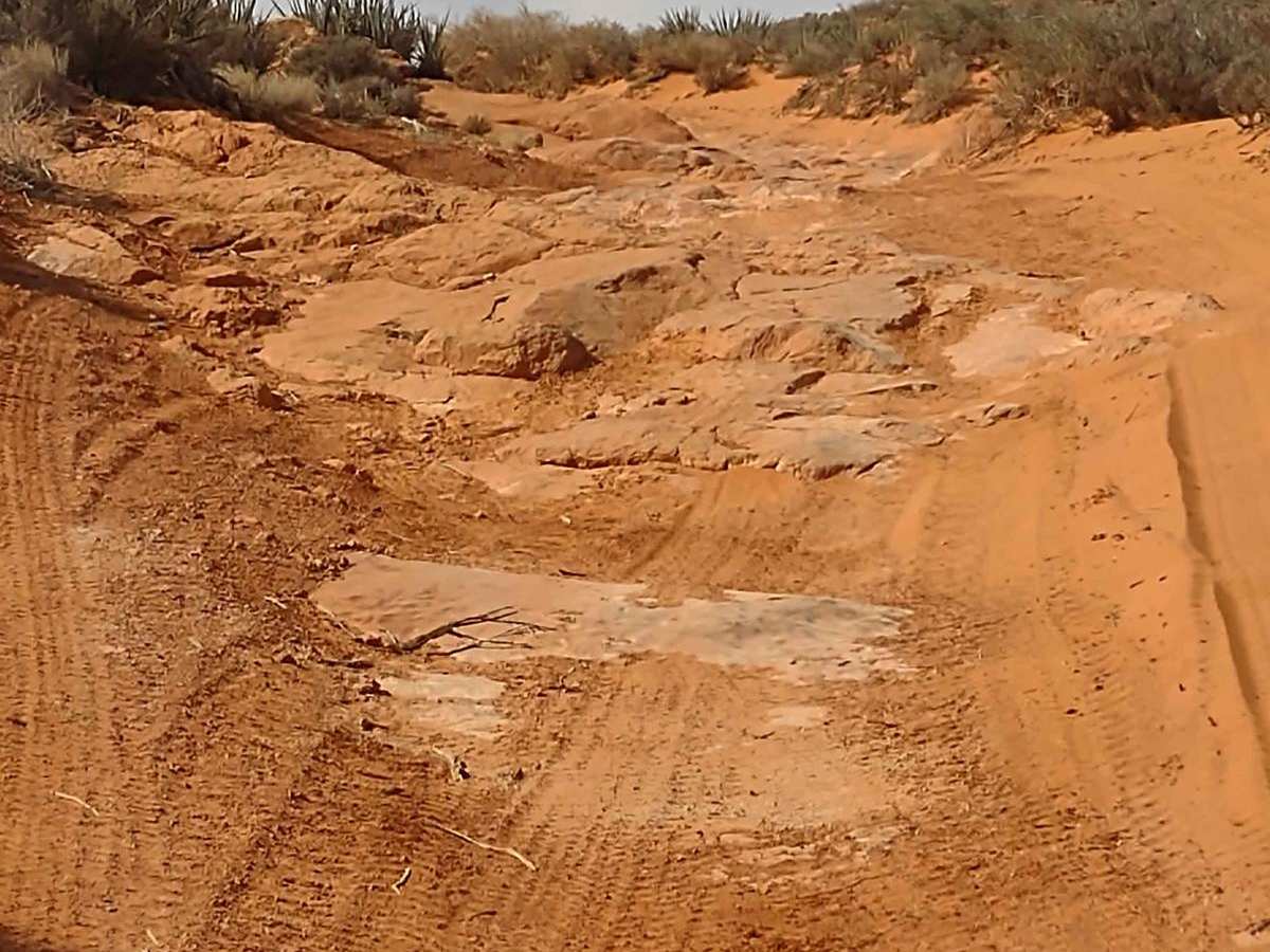 Backdoor to Babylon Loop photo 2