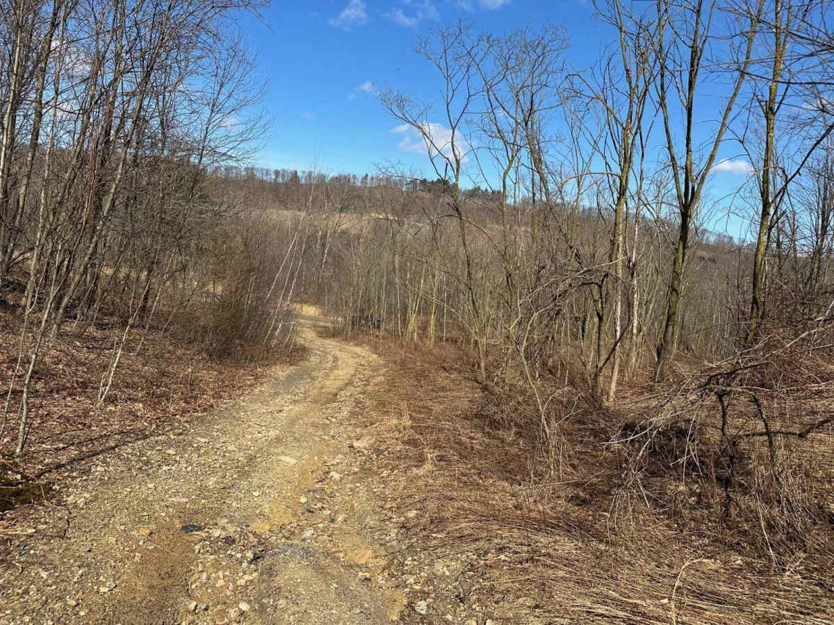 Locust Gap 39 photo 5