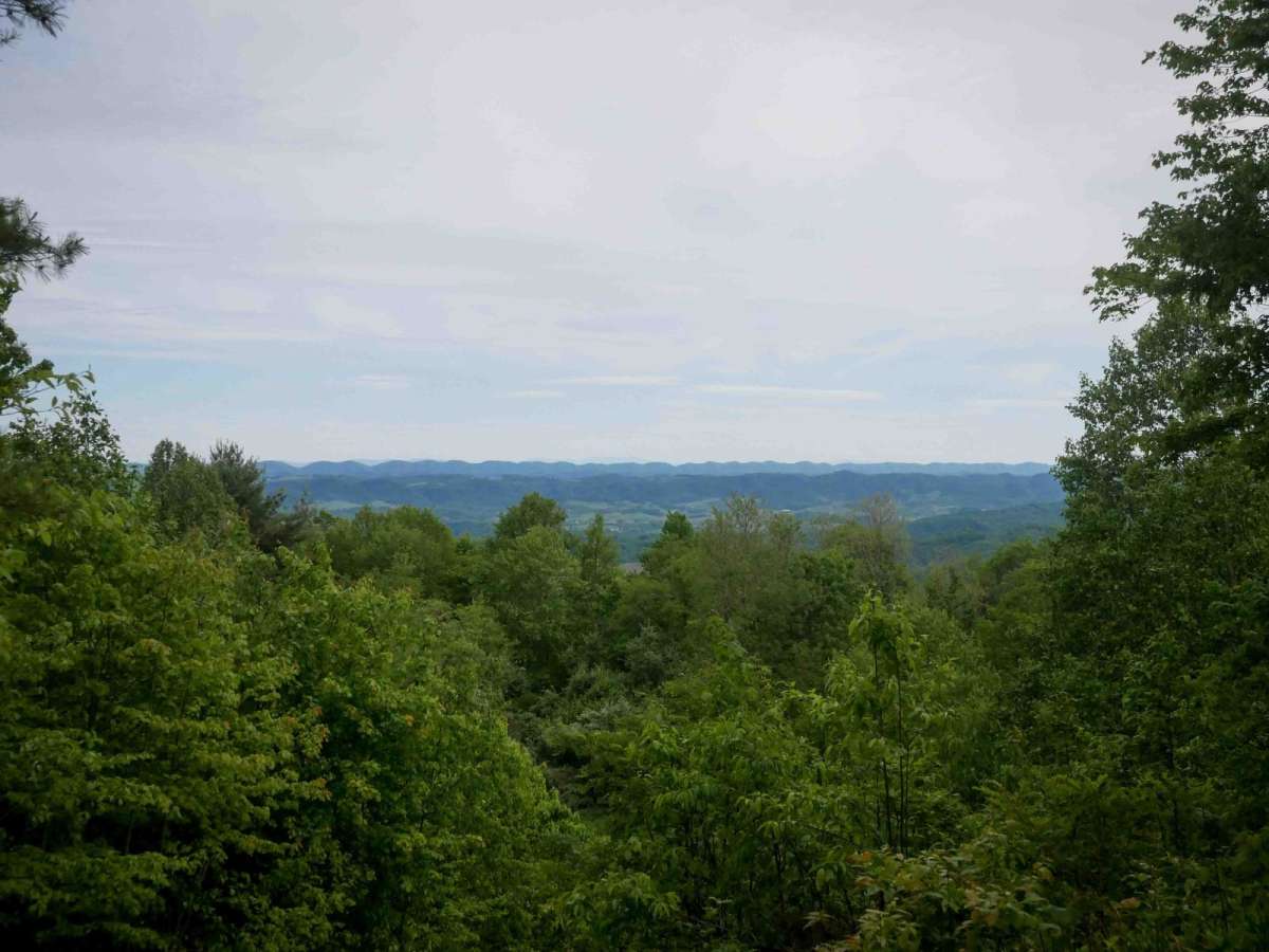 MV10 trail photo