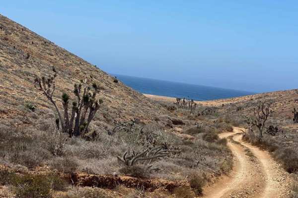 San Jose El Faro to Chapala Intermittent