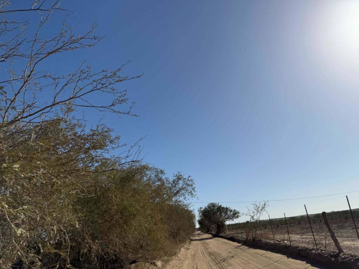 Camino Arenoso Cuatro photo 5