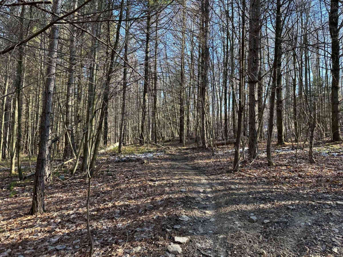 St. Keirns Single Track 4 - West photo 3