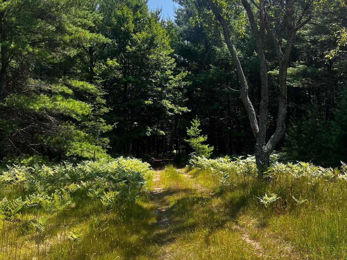 Filer Creek Trail photo 5