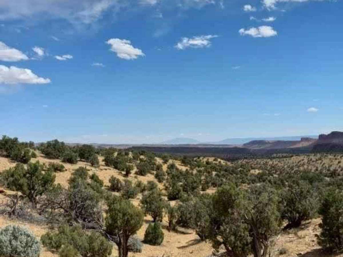 Wolverine Loop Road photo 3