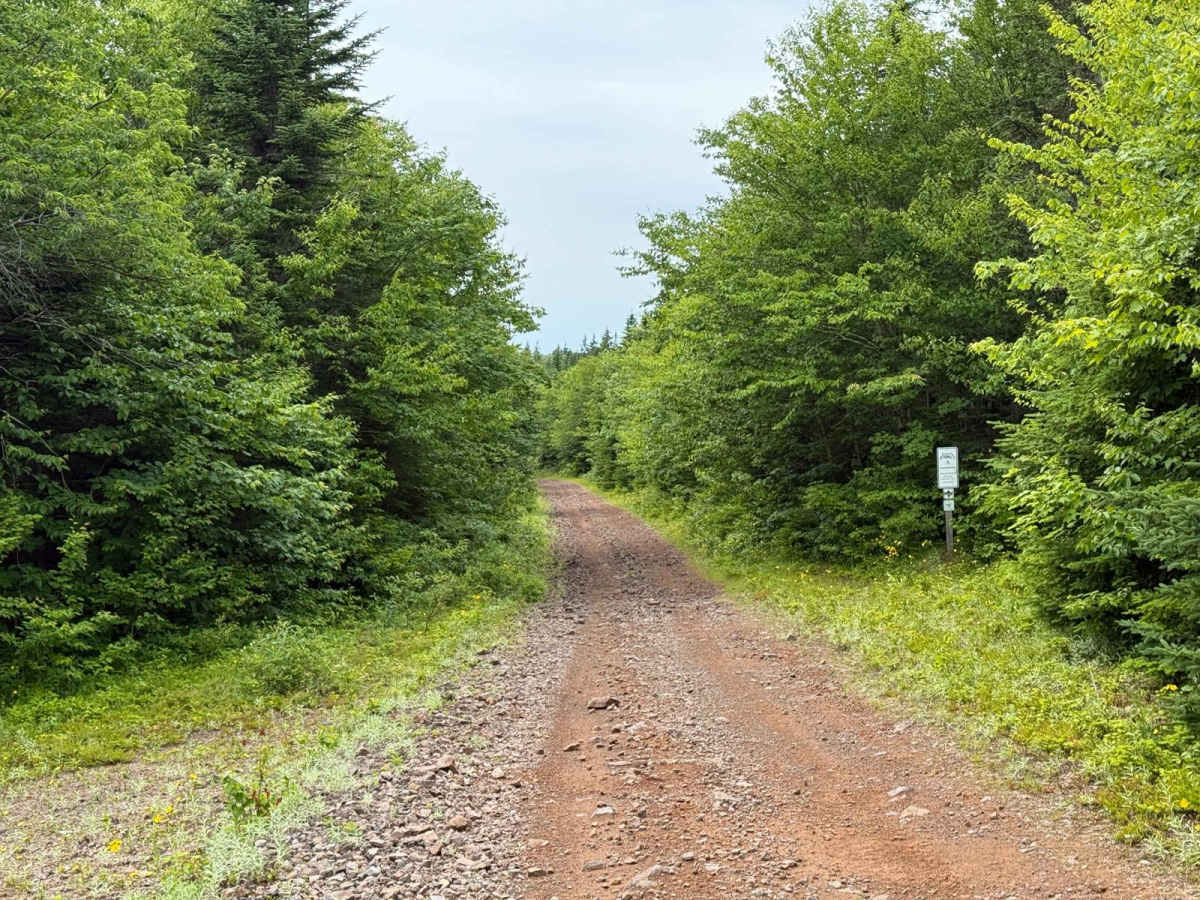 Trout River Trail photo 3