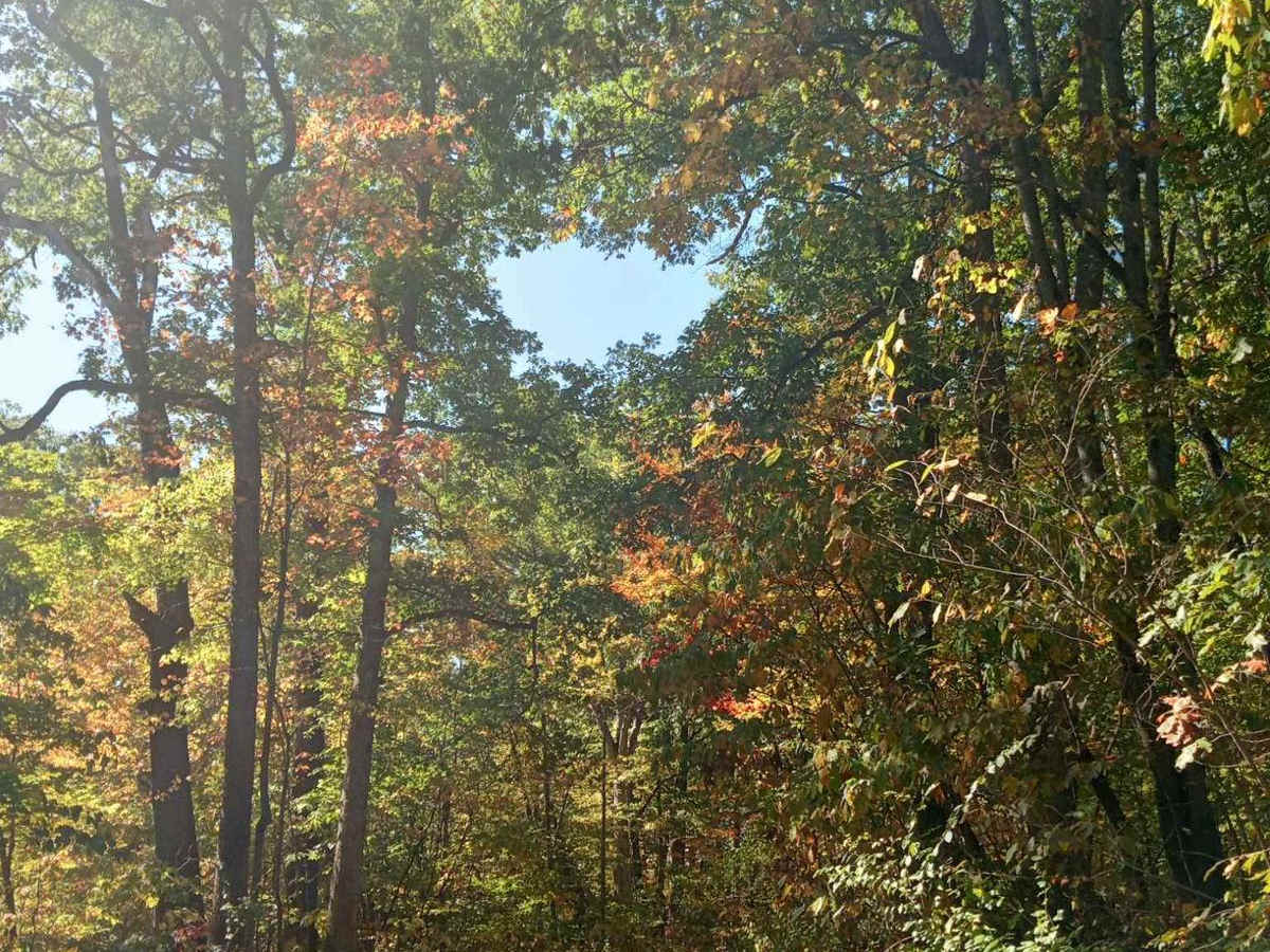 Brady Road photo 5