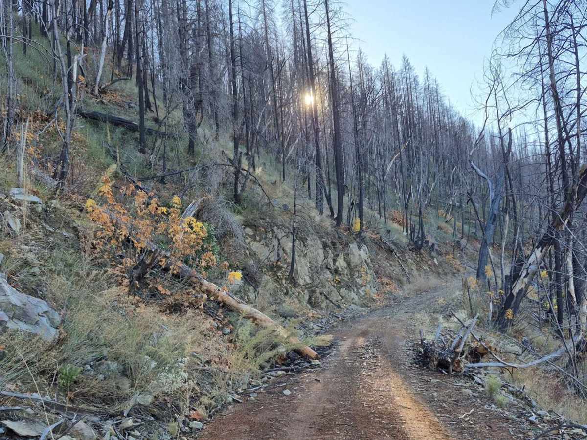 Rubicon Road - 13N66 trail photo
