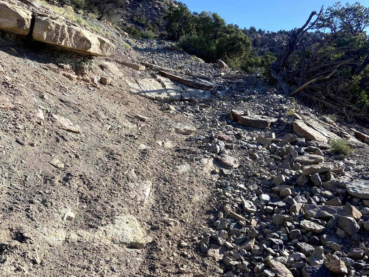 BLM Route 018 photo 3
