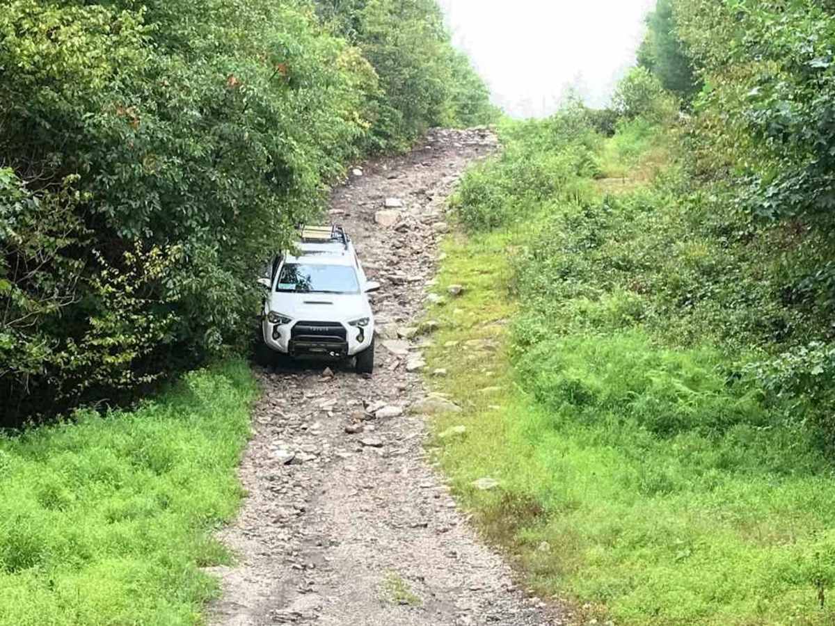109 Blue photo 4
