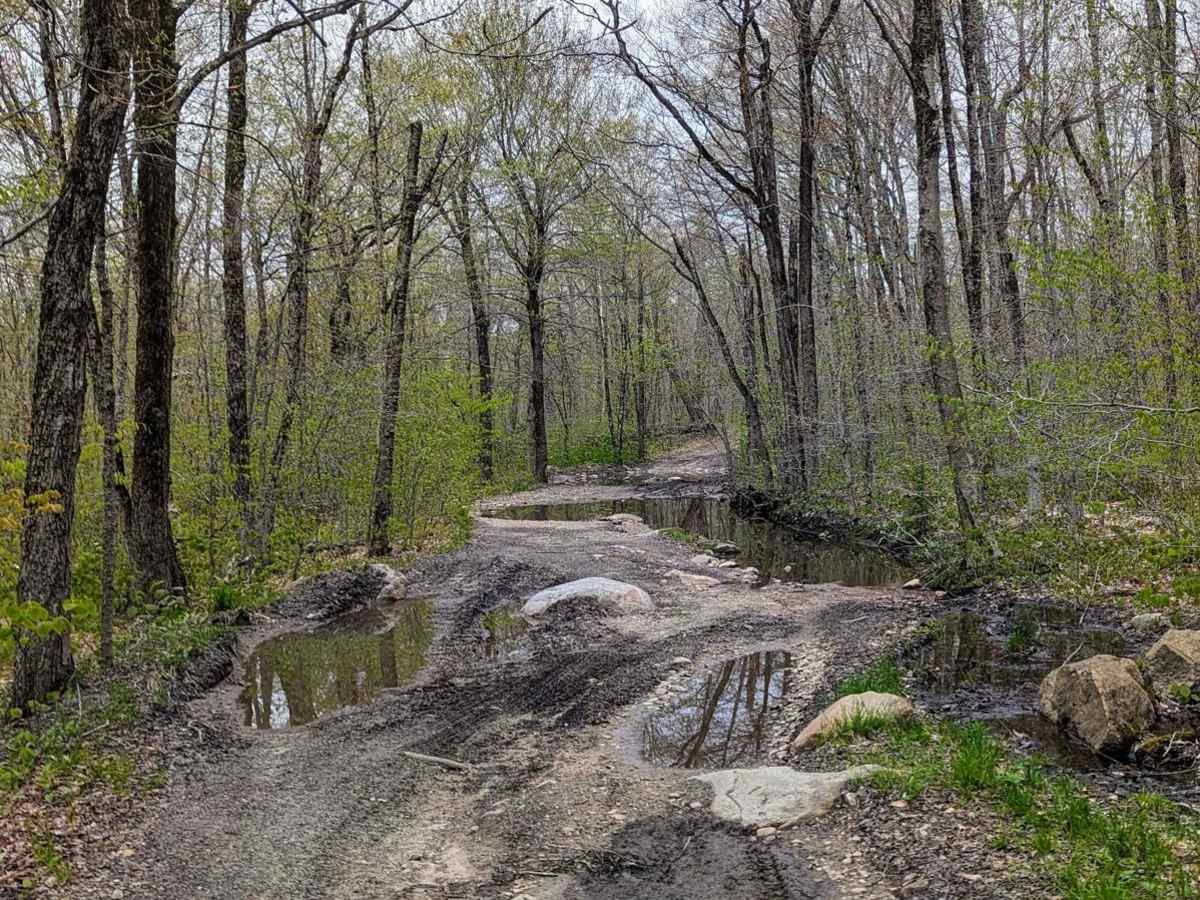 Risky Ranch Road (VT TR 302) trail photo