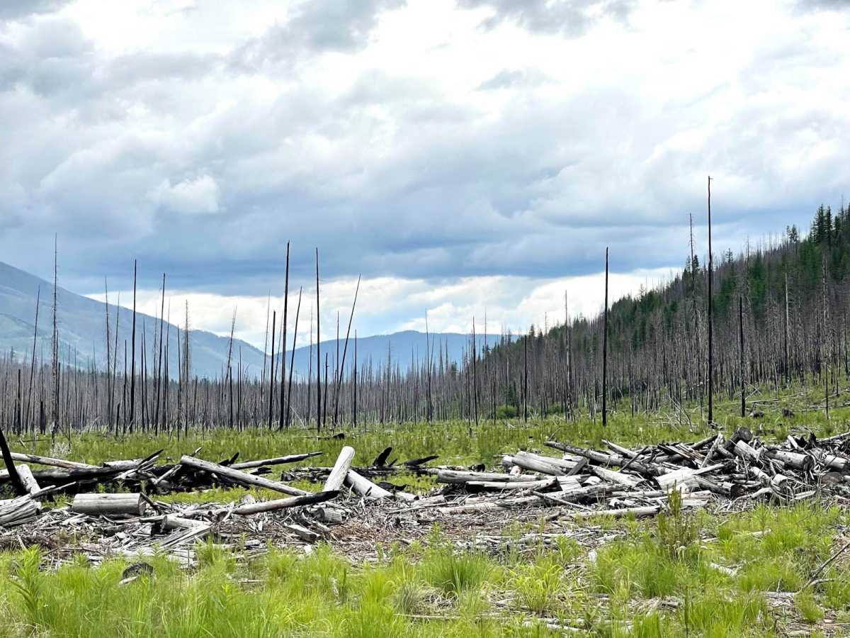Upper Trail Creek photo 5