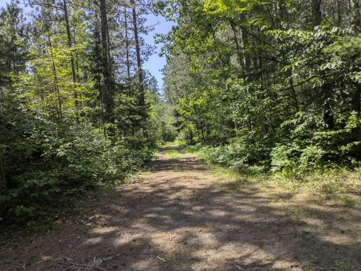 FS 2162 photo 6
