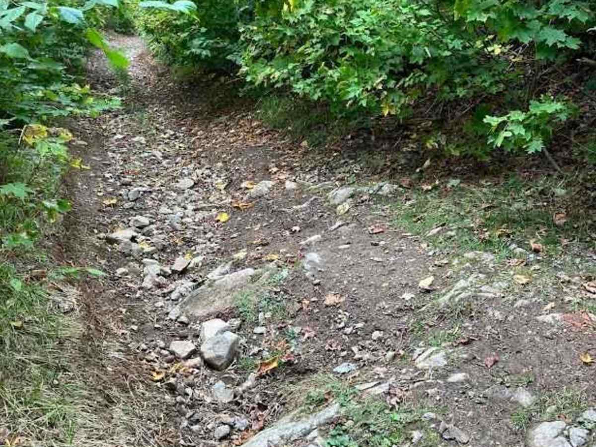 North Highland Road photo 4