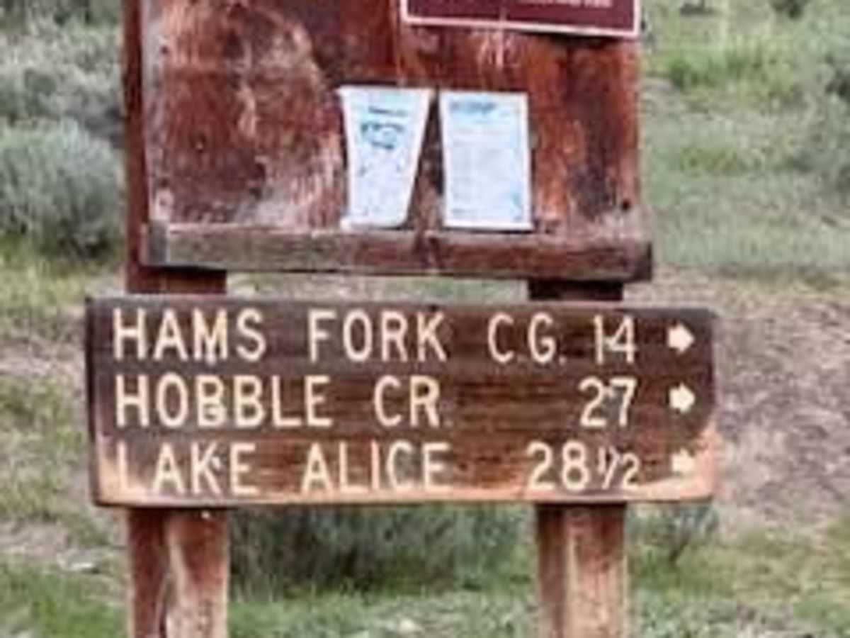 Smiths Fork trail photo