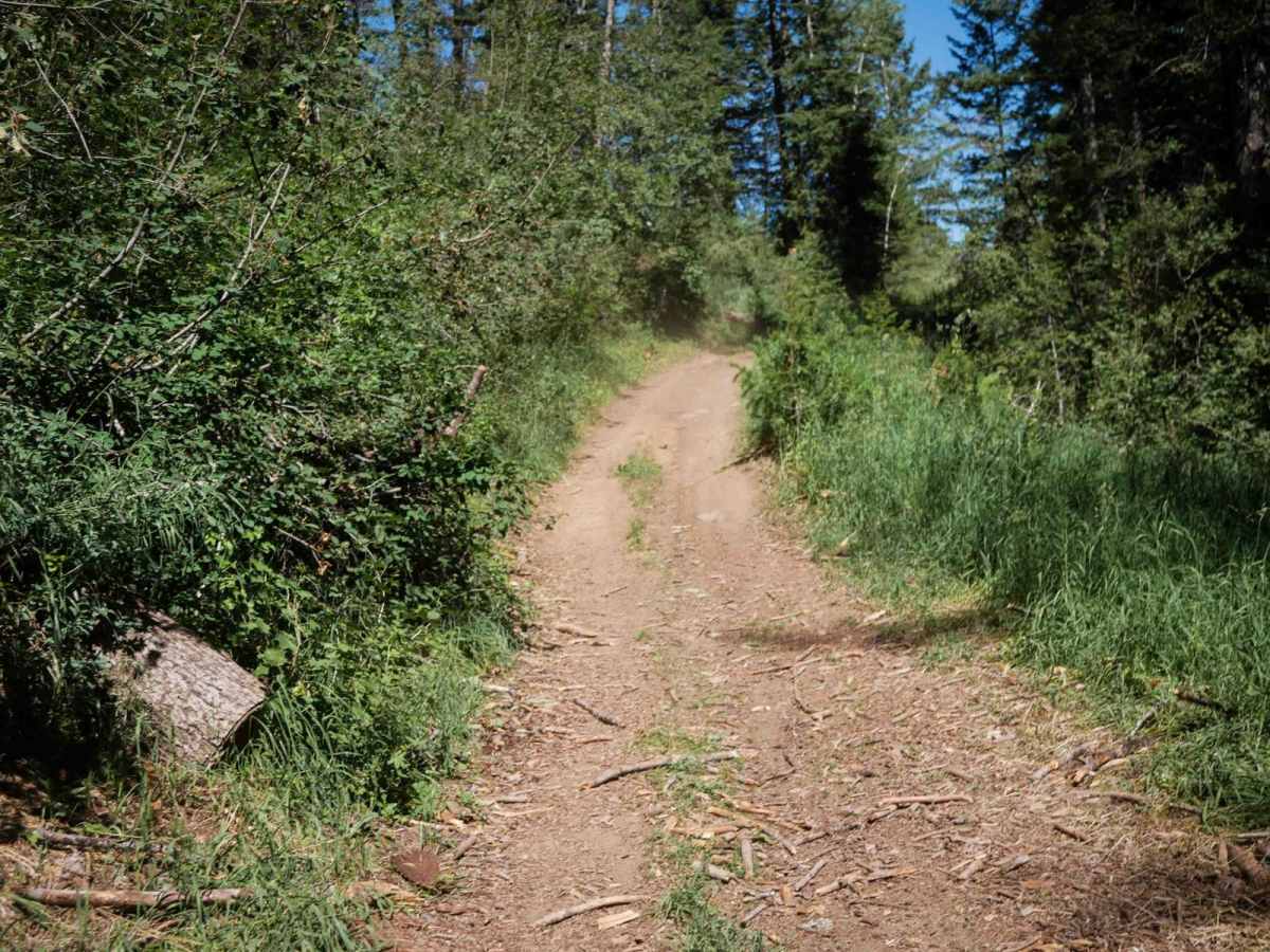 Trail Canyon East #5250  photo 3