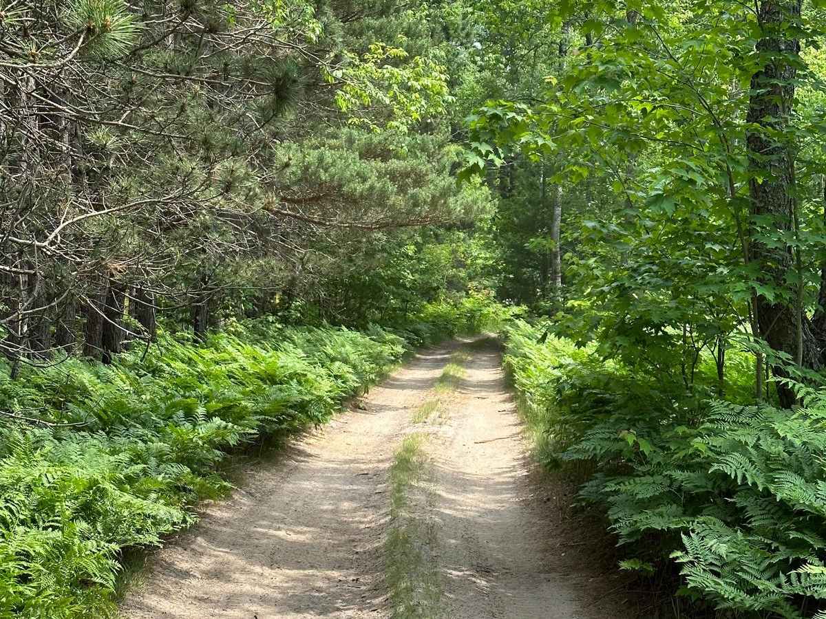 Rail Trail Part 4 photo 2