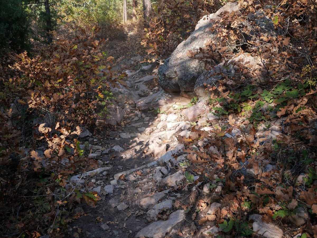 Portis trail photo