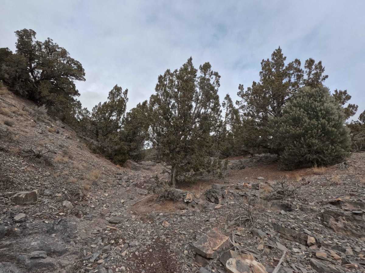 516 trail photo