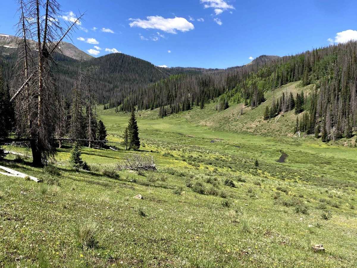 Beaver Creek Trail photo 4