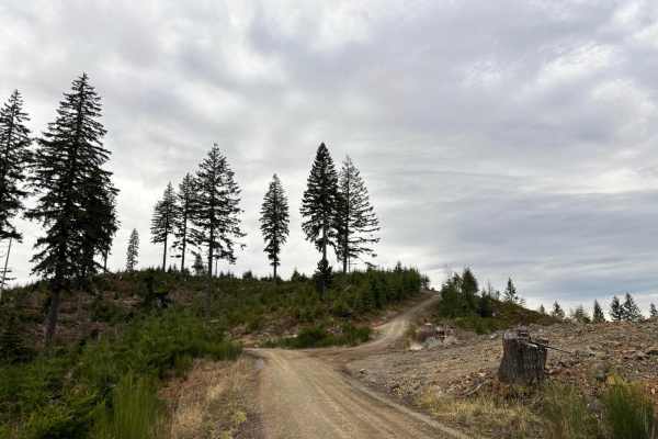McGregor Road