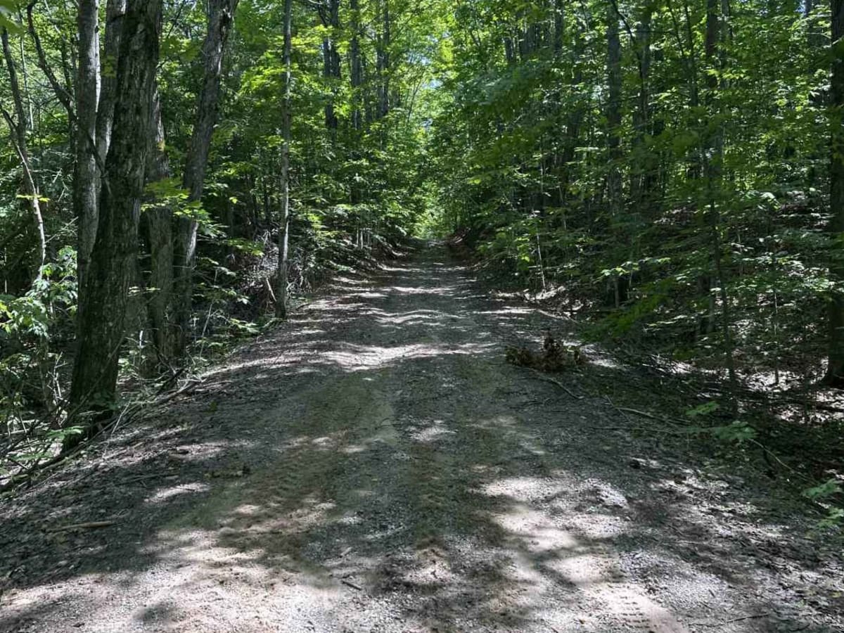 Berry Creek photo 4