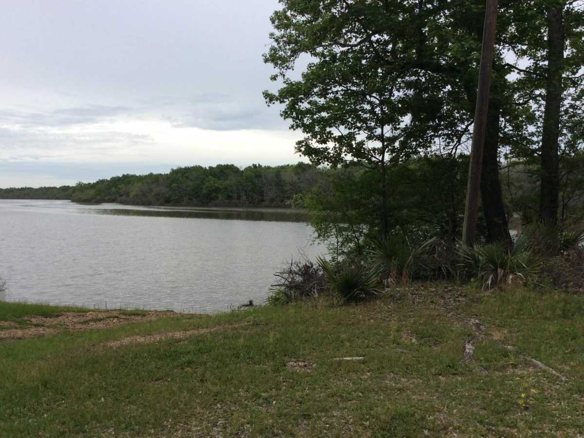 Dewey Wills Wildlife Management Area (WMA) Cross Trail trail photo