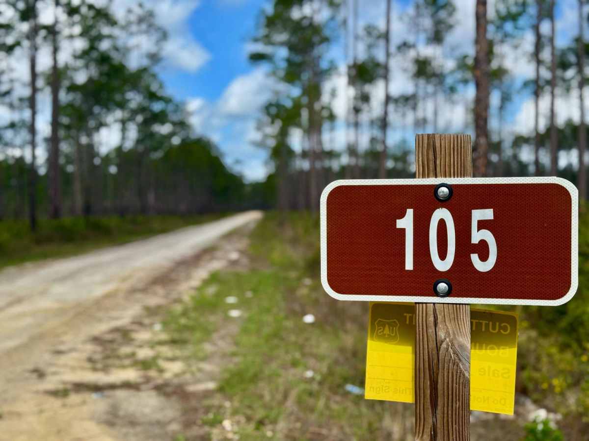 Mercer - FS 105 trail photo
