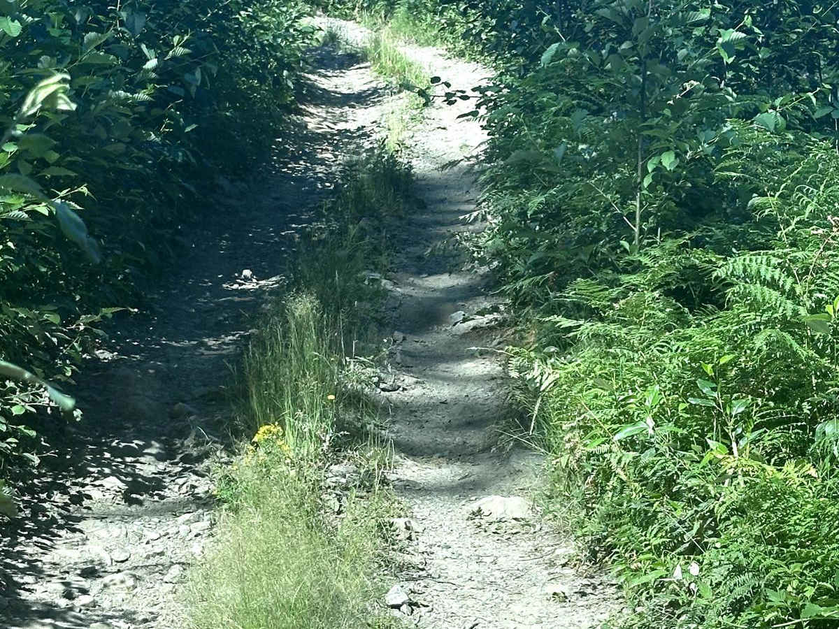 Twizzler trail photo