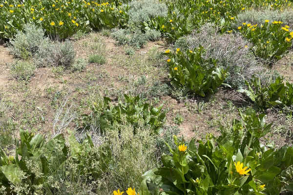 Sonoma Peak Access Trail