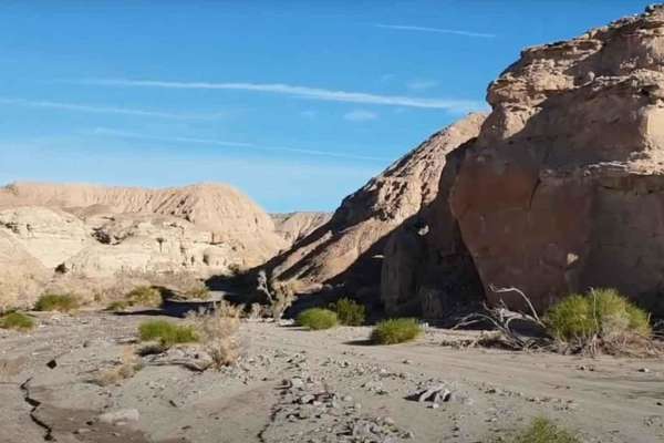 North Fork Palm Wash