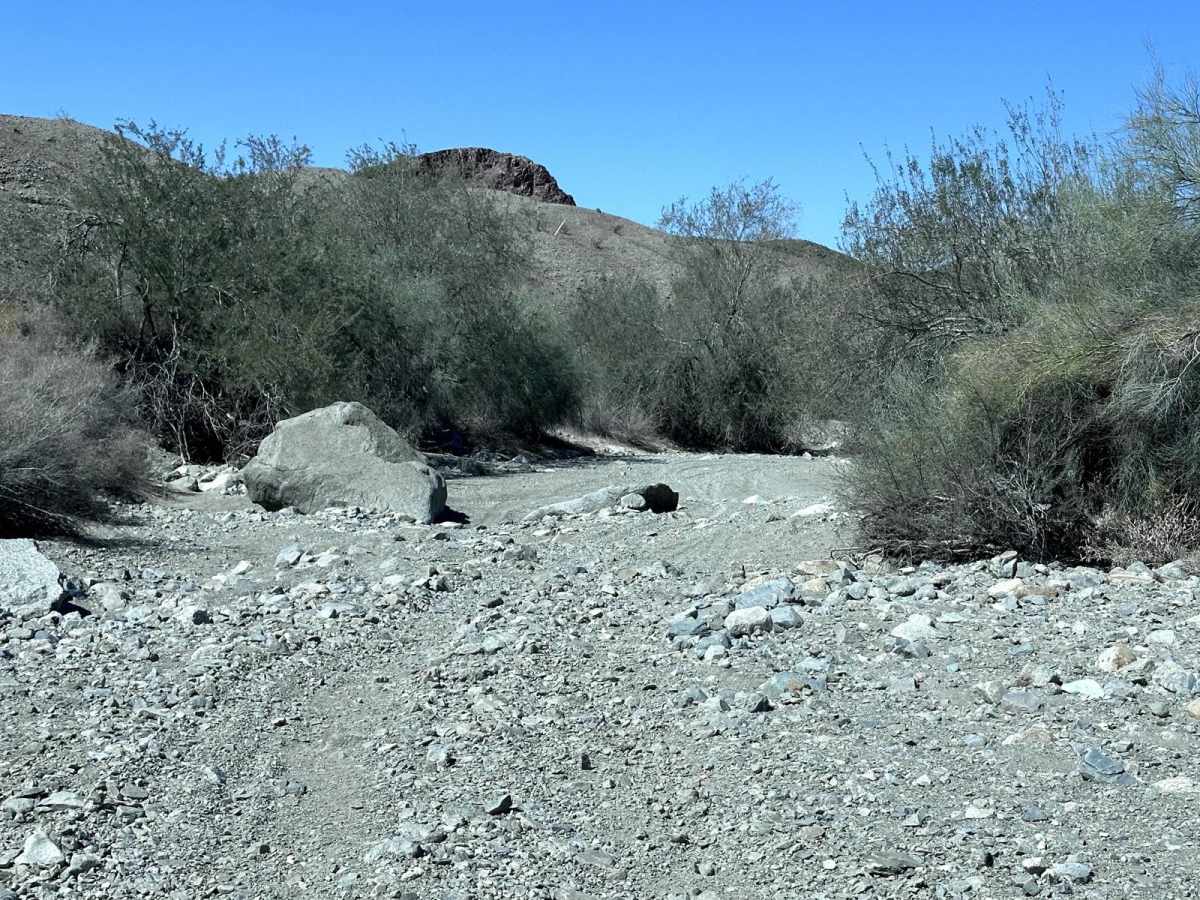 LCR1827 photo 4
