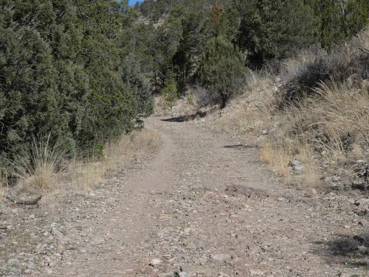 Pinon Long photo 4